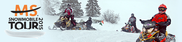 WIG 2015 MS Snowmobile Banner